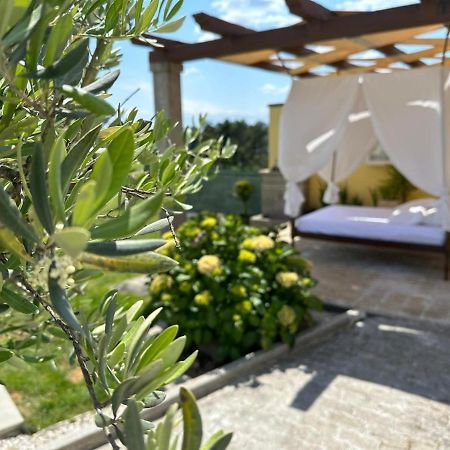 Quinta Da Menina Guest House Vila Real Exteriér fotografie